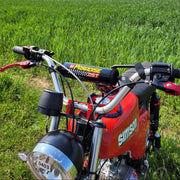 "Ost Grand Prix" Lenkerpolster - 18,5cm